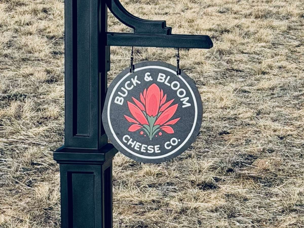 Buck & Bloom Cheese Co. sign at Buena Vista Farm