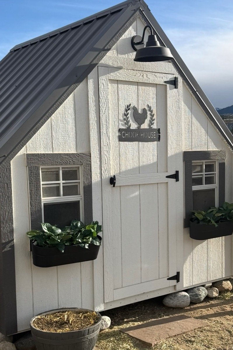 The chook house and farm produce at Buena Vista Farm