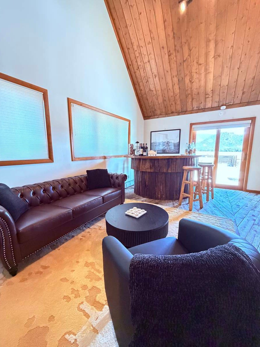 Games room with bar