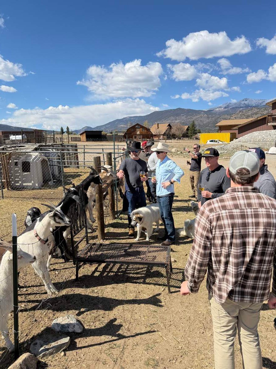 Farm tours at Buena Vista Farm